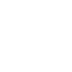 Salut intestinal